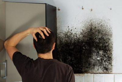 Mold