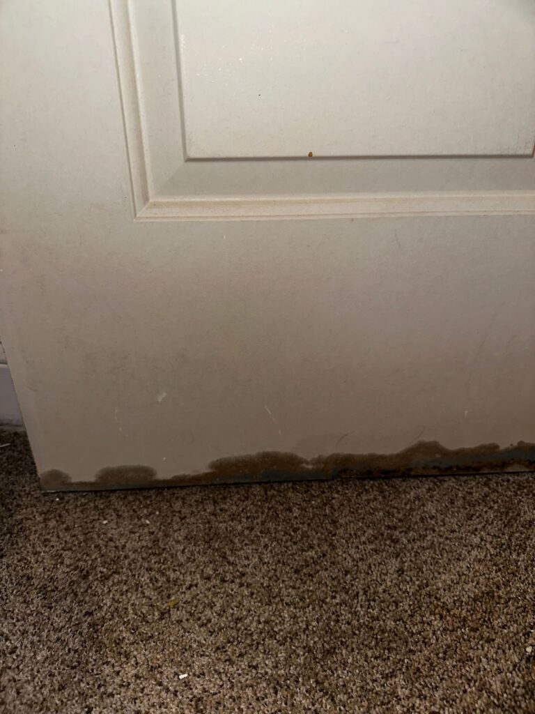 Mold growth under a door frame.