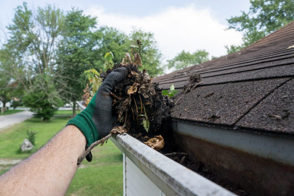 gutter cleaning