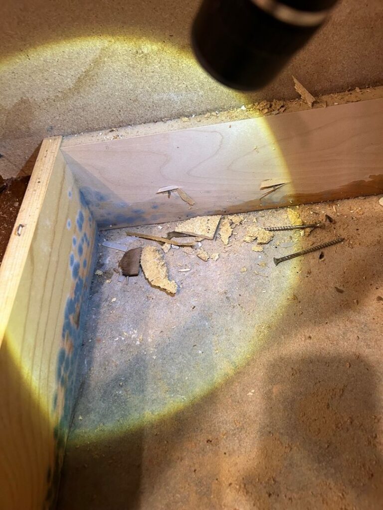 We inspected for mold growth