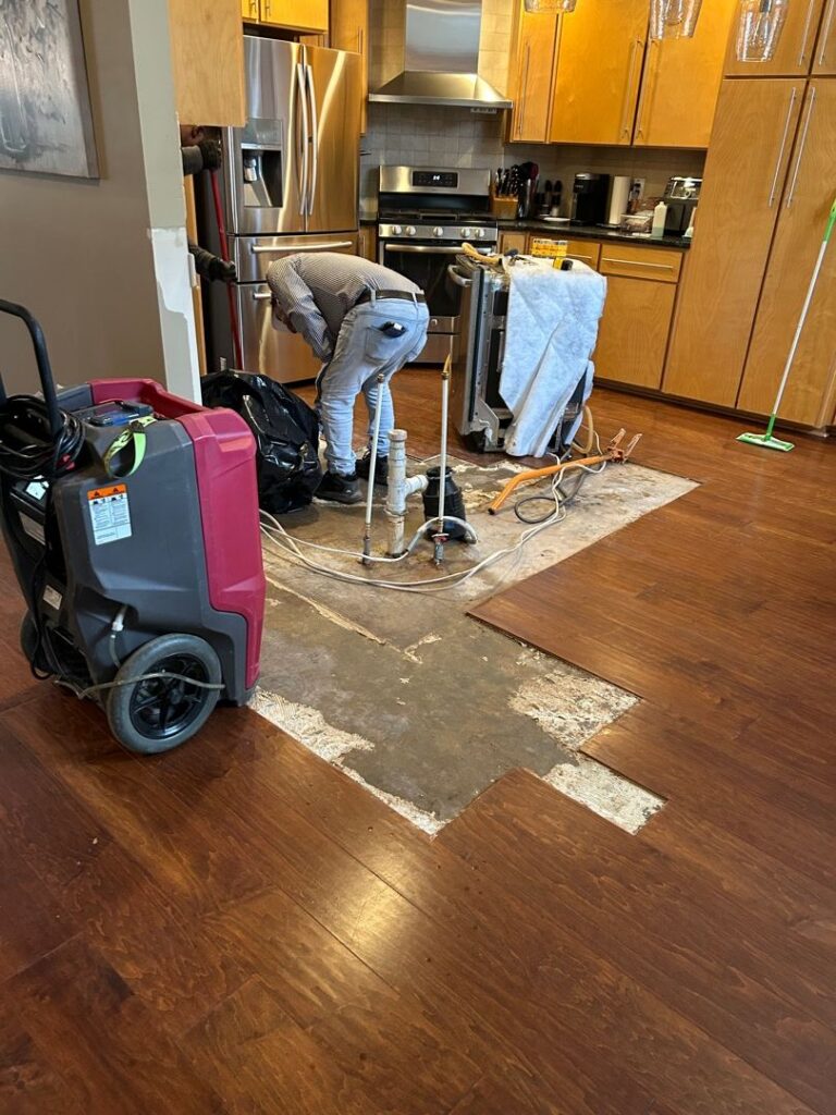 air movers starting to dry the area