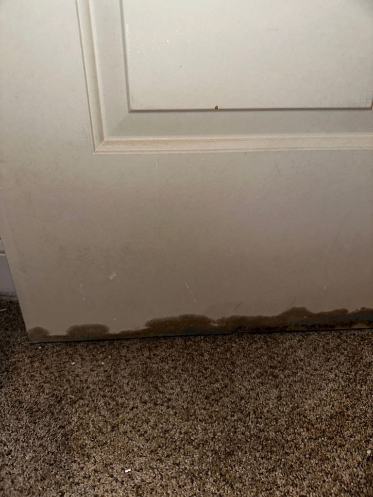 Mold growth under a door frame.