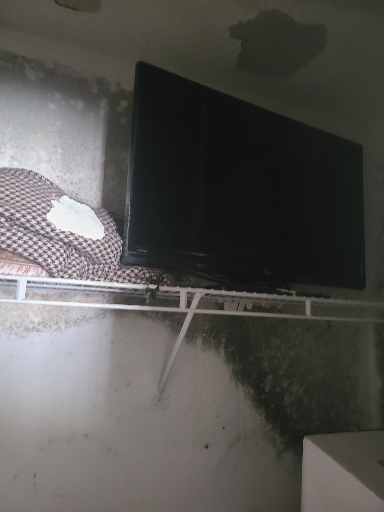 A black television on a shelf in a closet with visible mold on the wall and a damp blanket nearby.