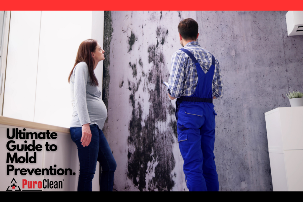 woman and man looking at moldy wall