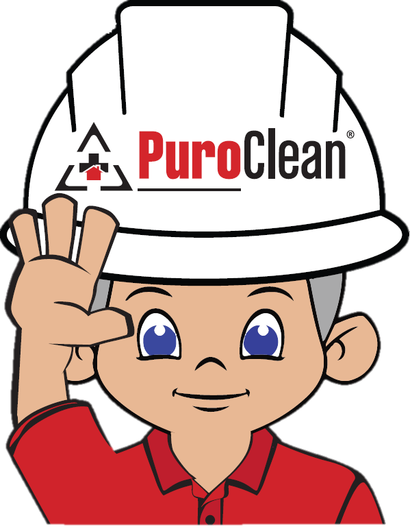 PuroClean Flat Walter Mold Remediation