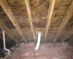 Complete attic mold job in attic