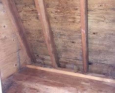 Framingham Crawl Space After mold cleaning