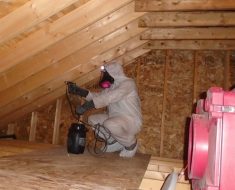 cleaning up attic mold