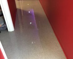 Water in hallway Puroclean of Auburn