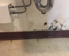 Mold underneath pipes on the wall PuroClean of Auburn