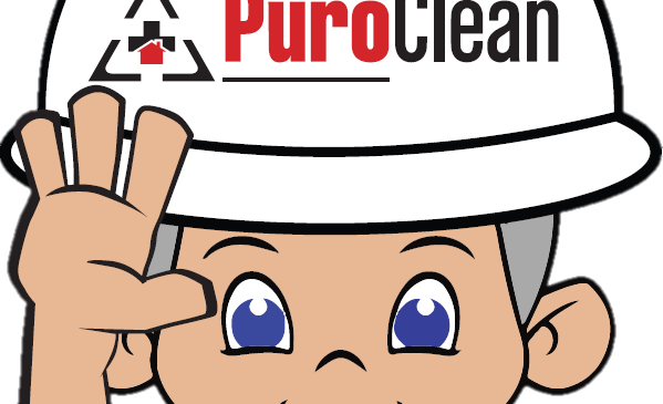 The Importance of Mold Remediation Services for Attic Mold Removal