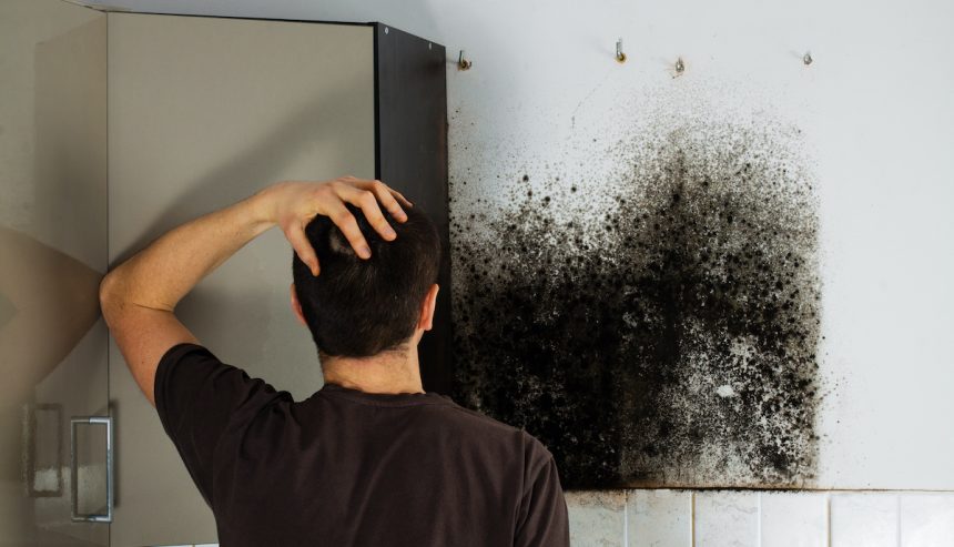 Long-Term Effects of Black Mold Exposure in a Home