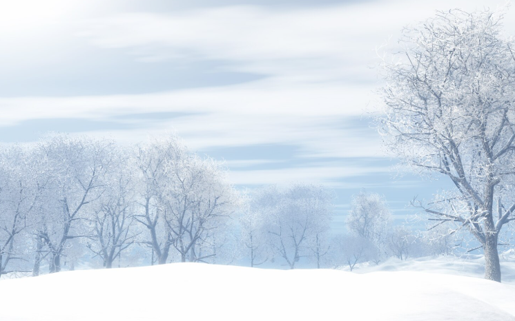 Winter Water Damage Preparedness for Maine Homes