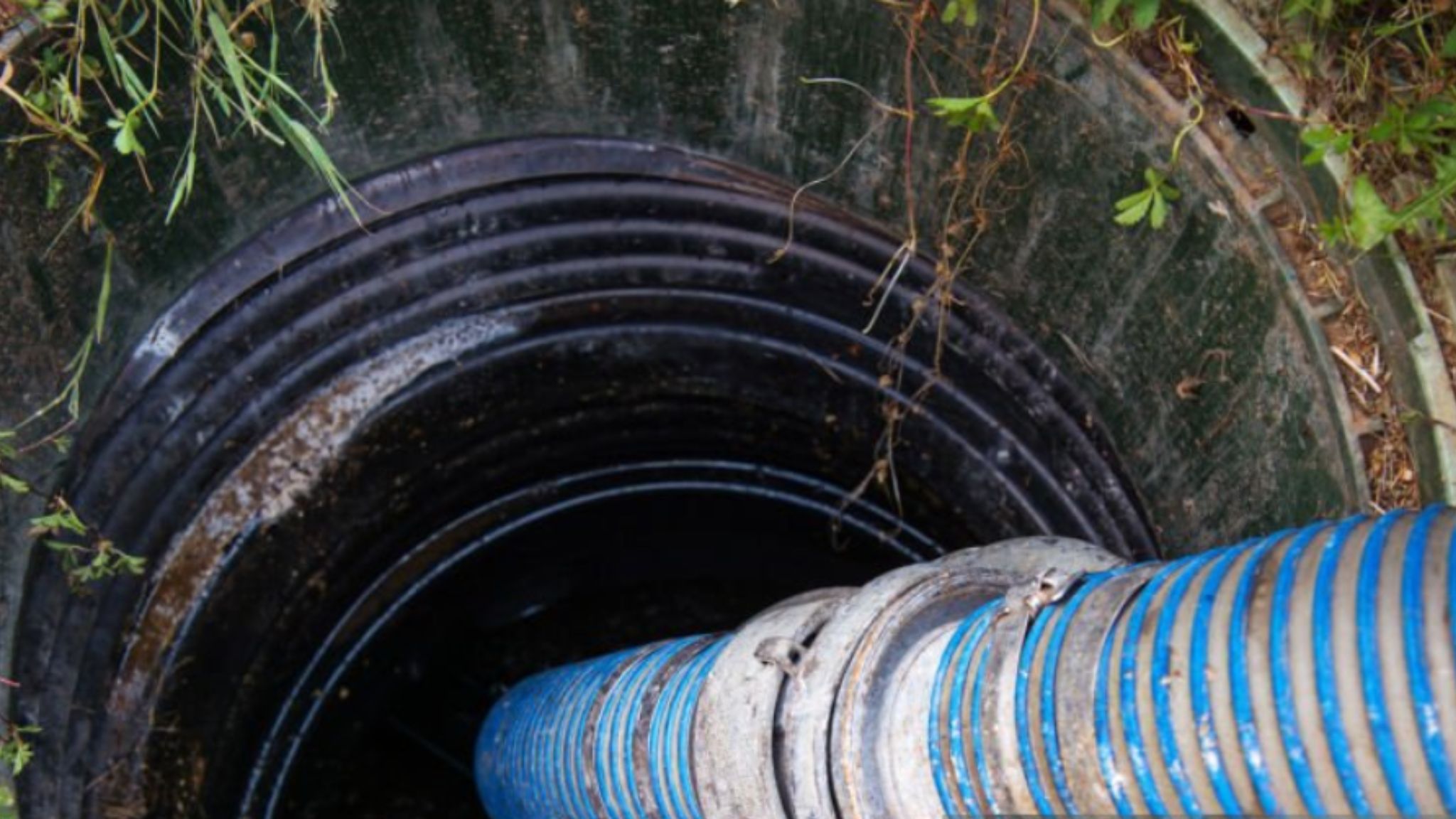 The Risks of DIY Sewage Flood Cleanup in Your Home