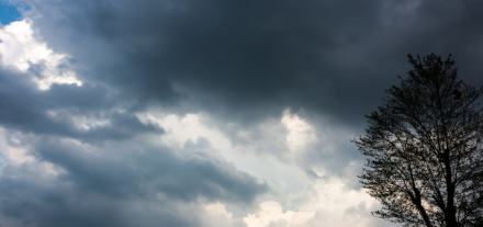 Storm Damage Restoration Maine