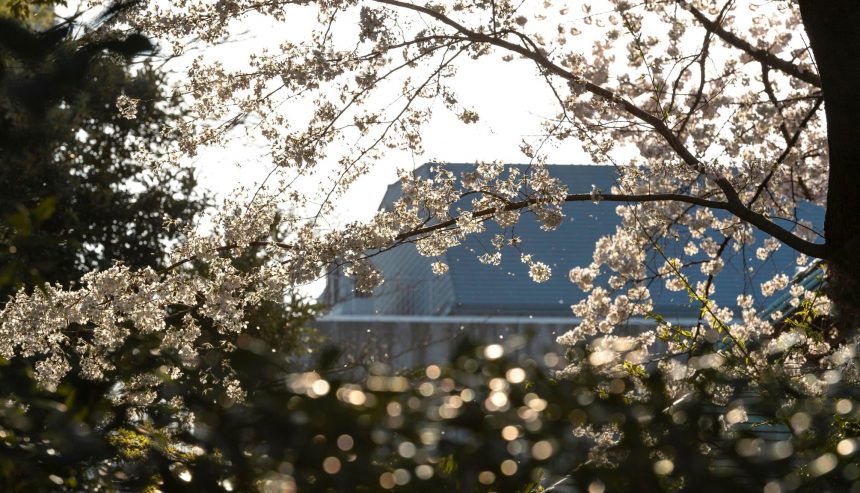 Preventative Tips for Your Home in Spring Weather