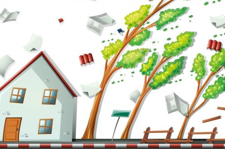 What to Do If a Tree Falls on Your House During a Storm