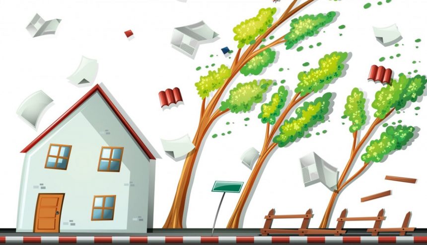 What to Do If a Tree Falls on Your House During a Storm