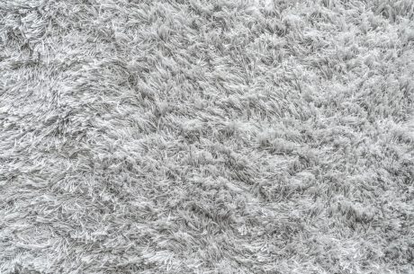 How Often Should You Really Get Your Carpets Professionally Cleaned?