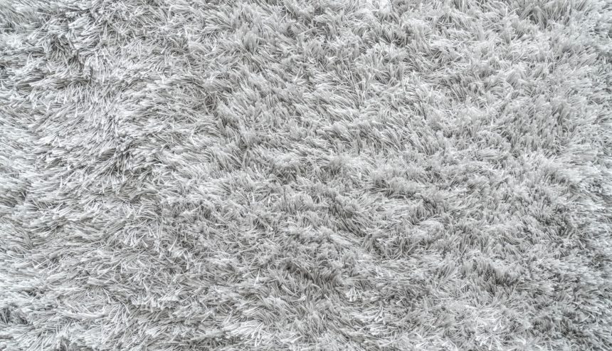 How Often Should You Really Get Your Carpets Professionally Cleaned?