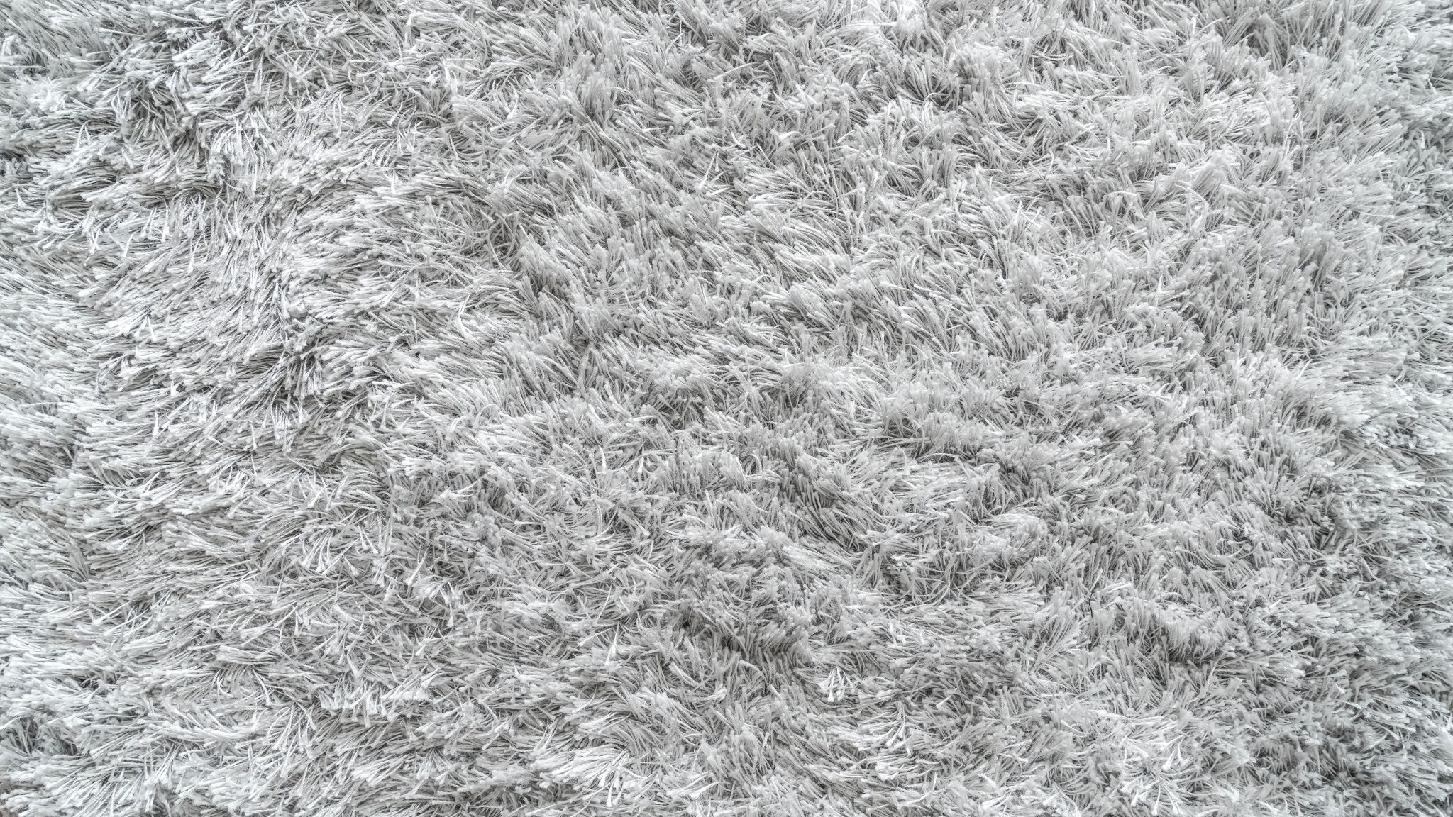 How Often Should You Really Get Your Carpets Professionally Cleaned?