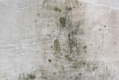 Mold Remediation Service in Brunswick