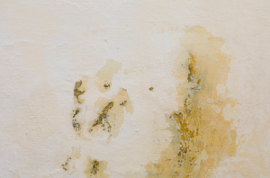 How to Dry Out Damp Walls in a Room