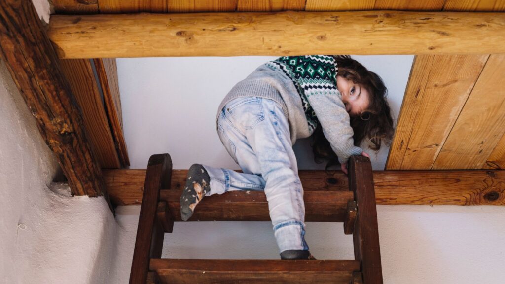 How to Remove Mold in Attic in your Maine Home