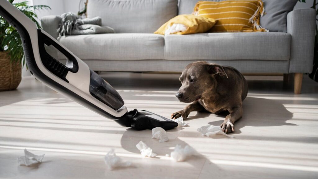 How to Get Rid of Pet Pee Smell in Your Home