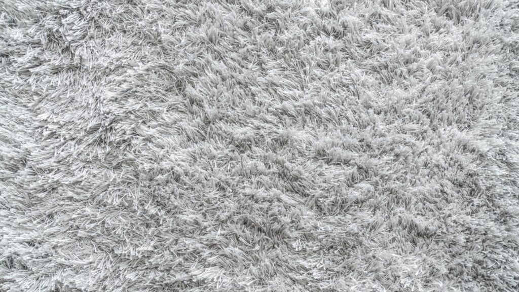 How Often Should You Really Get Your Carpets Professionally Cleaned?