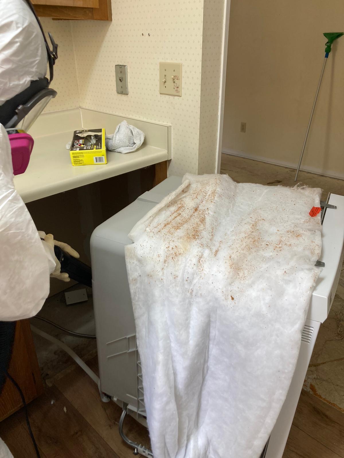 decontamination in apartment