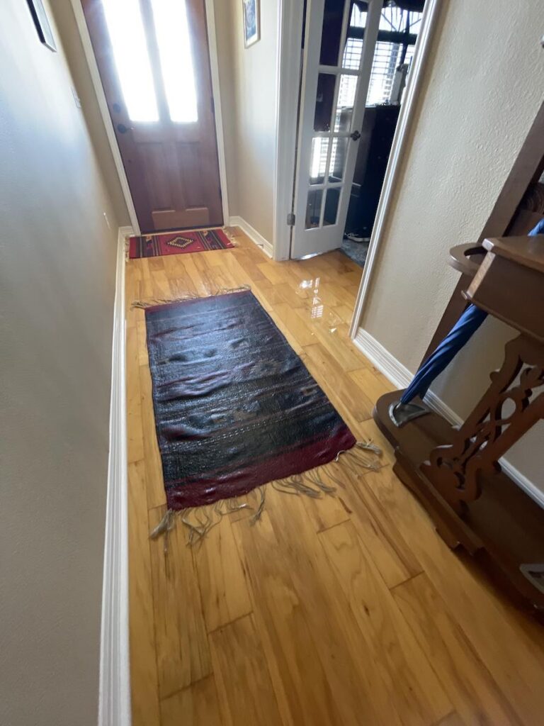 water damage in property