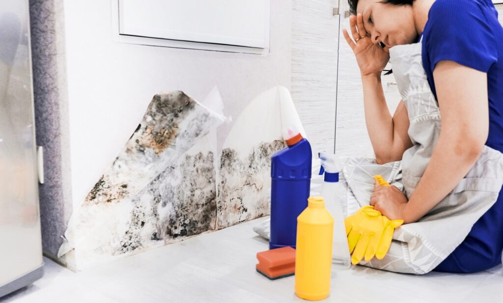 mold remediation