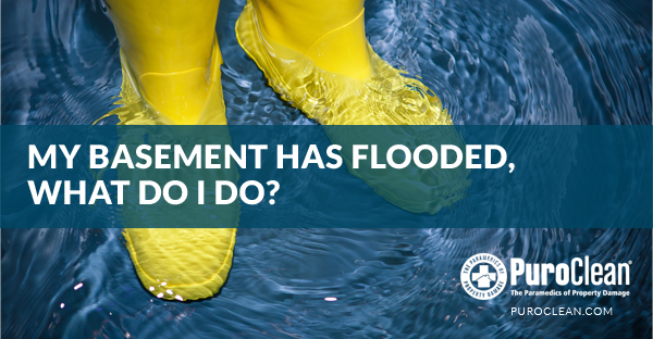 My Basement Has Flooded
