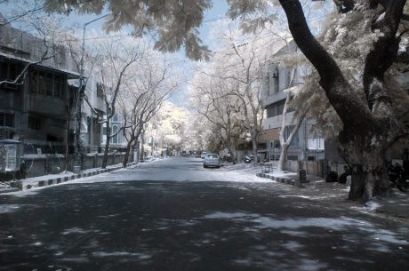 "winter"