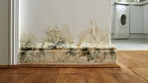 Pier and beam water damage spots and blistered, peeling paint along the bottom of a wall and its baseboard