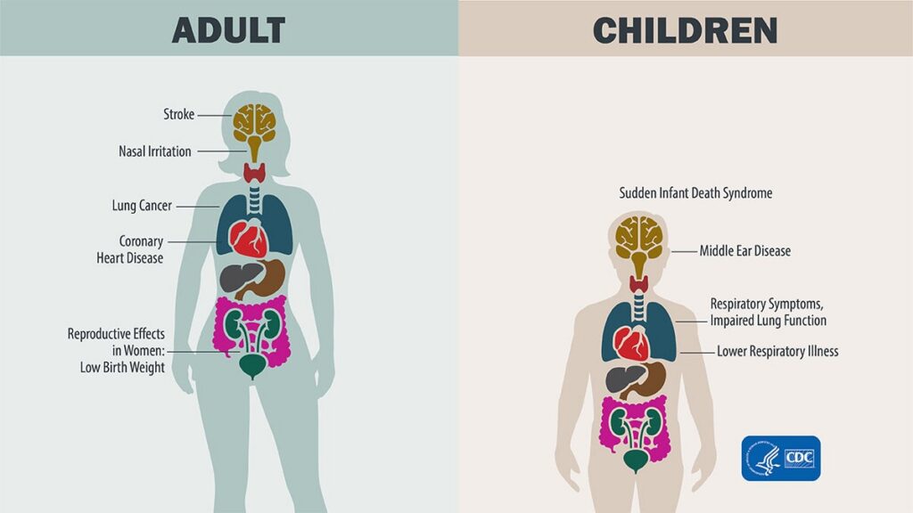 Mold toxicity