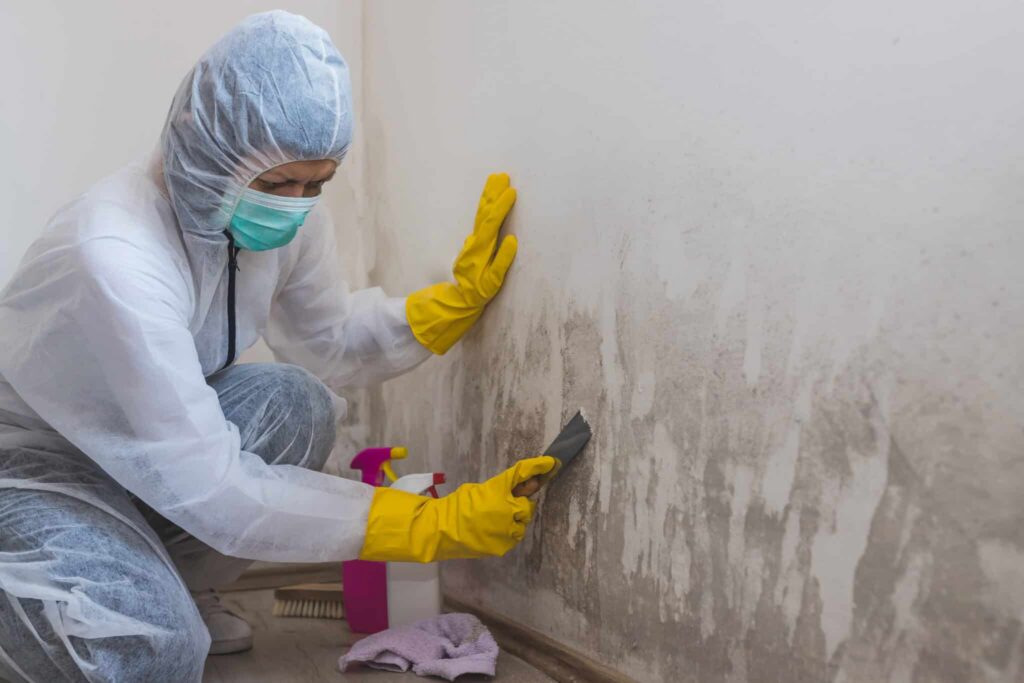 Mold after water damage