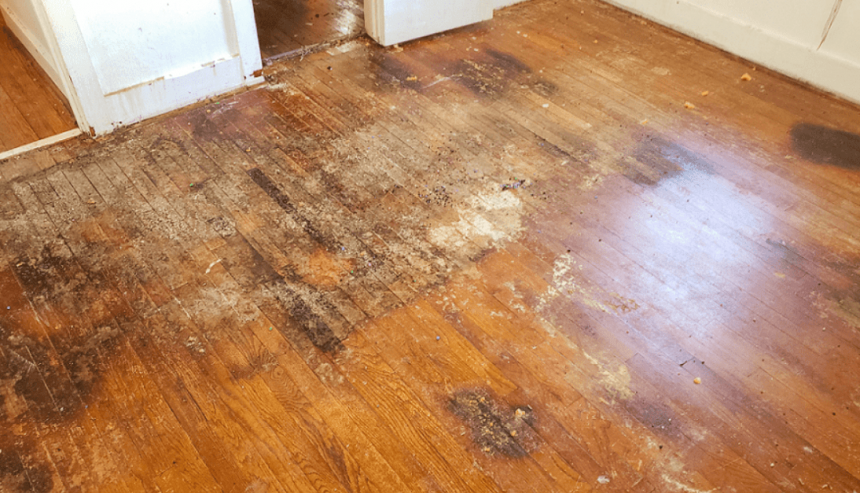 Hardwood Floor Water Damage