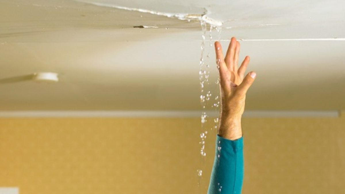 Water Leaking from Ceiling Causes, Fixes, and Prevention