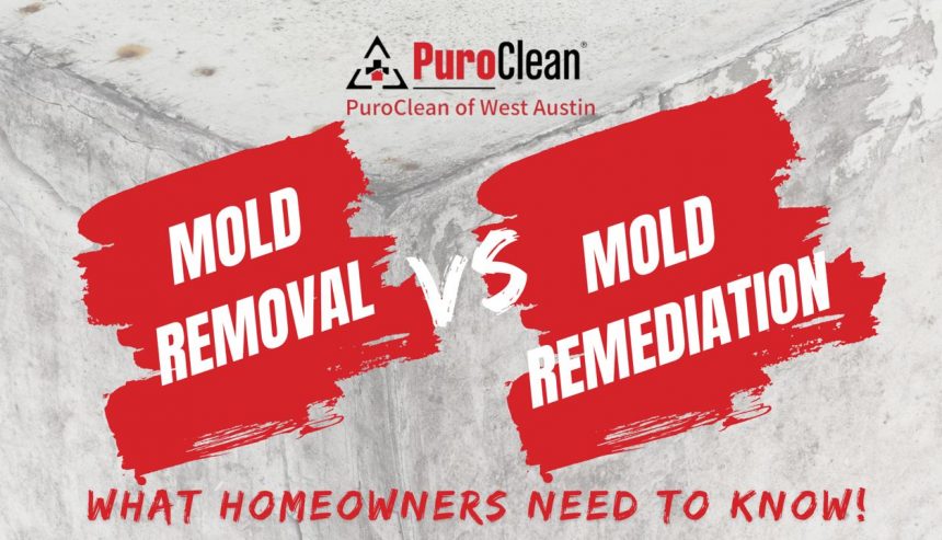 Mold removal