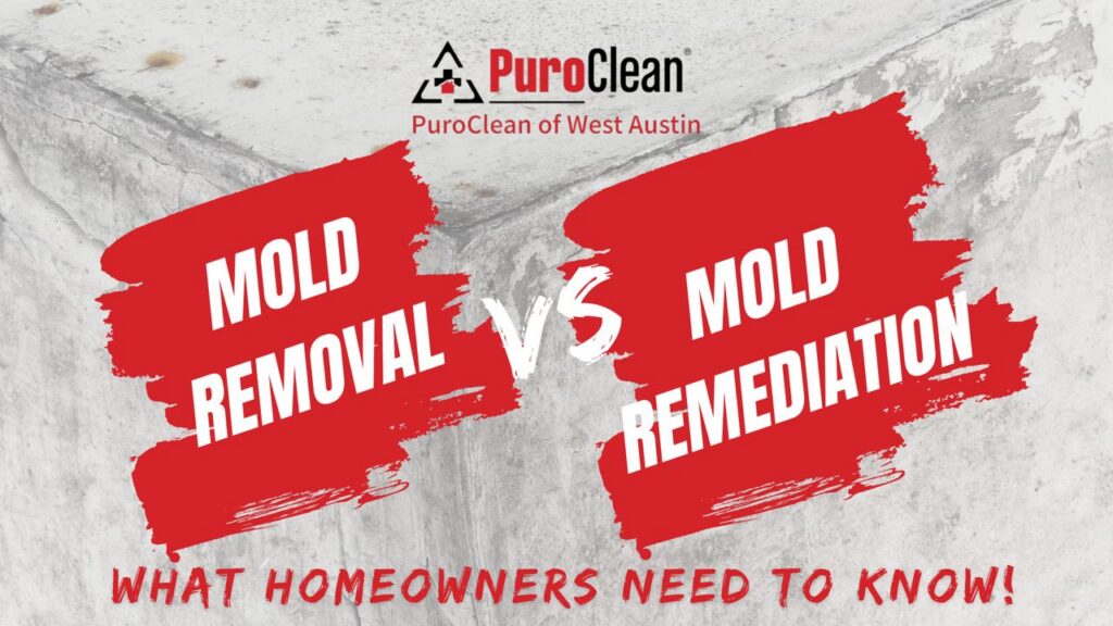 Mold removal
