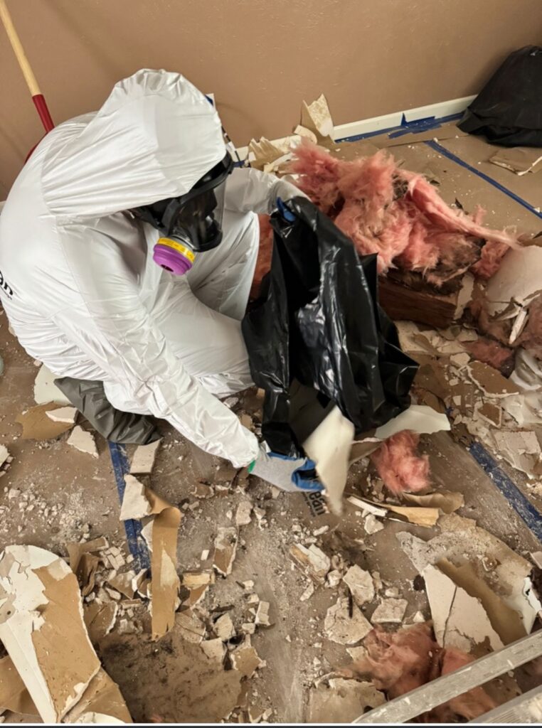 Mold removal in Lakeway