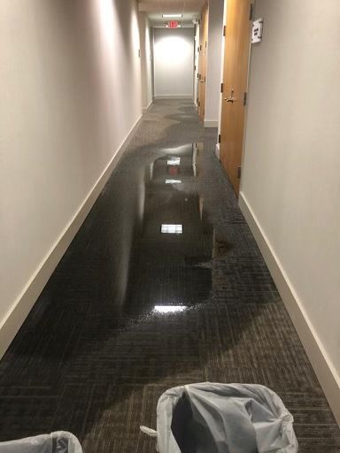 The full extent of the overnight water damage.