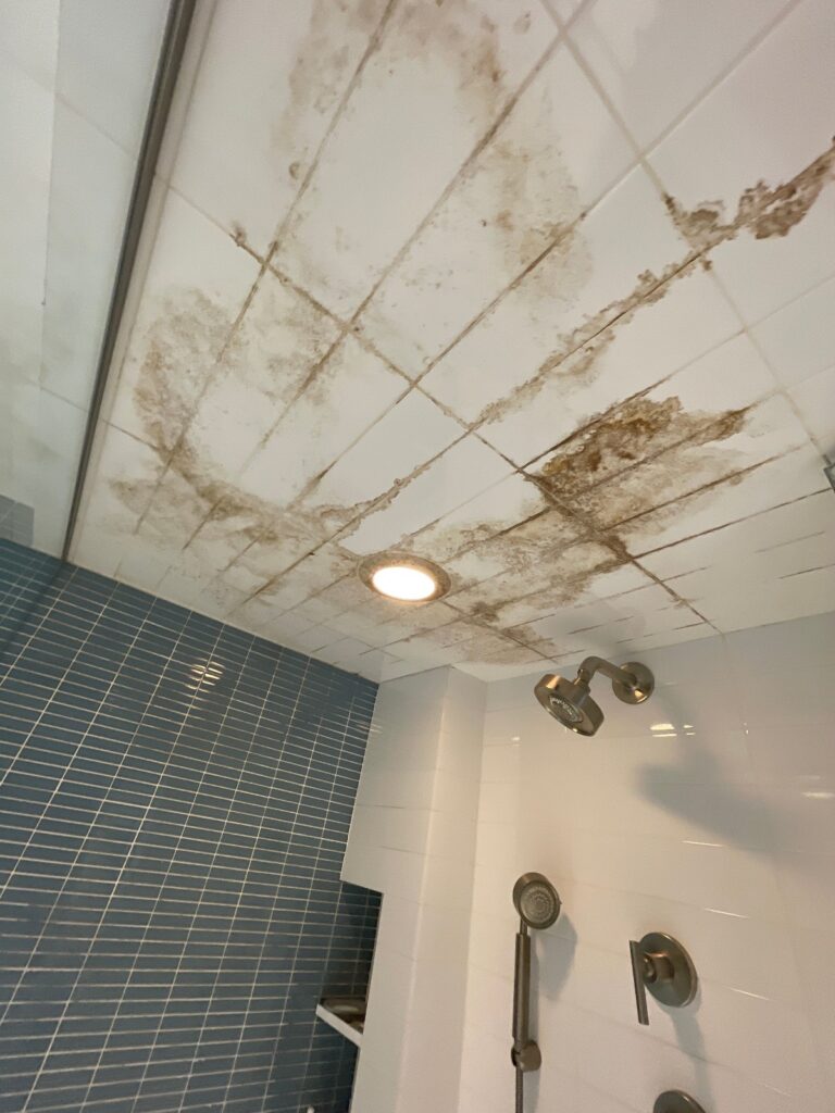 Mold growth is dangerous.
