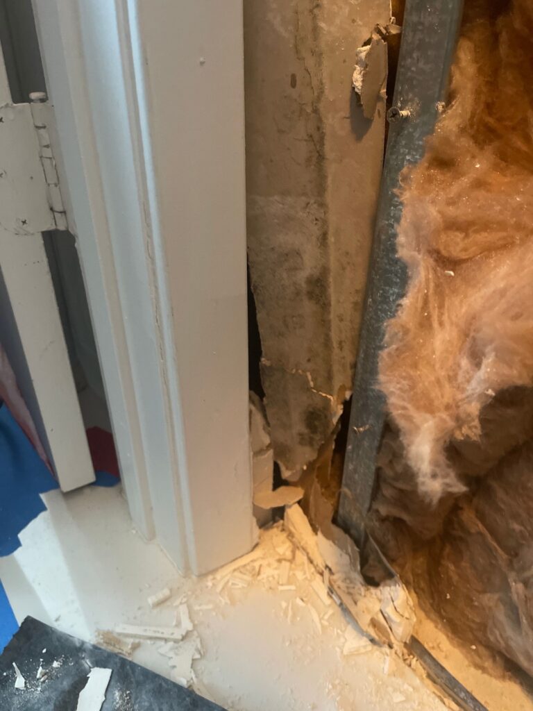hidden mold behind drywall.