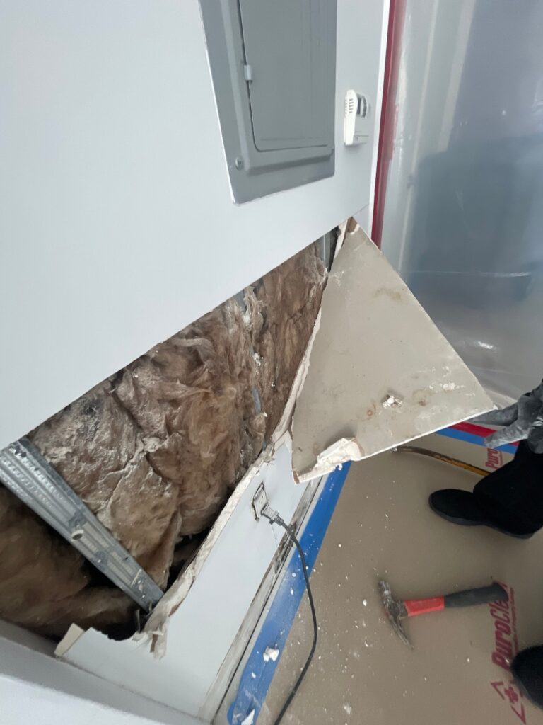 hidden mold behind drywall.
