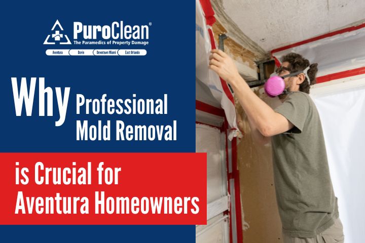 A worker in protective gear removes mold from a home, emphasizing the importance of professional mold removal.