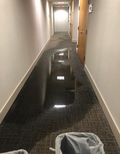 The full extent of the overnight water damage.