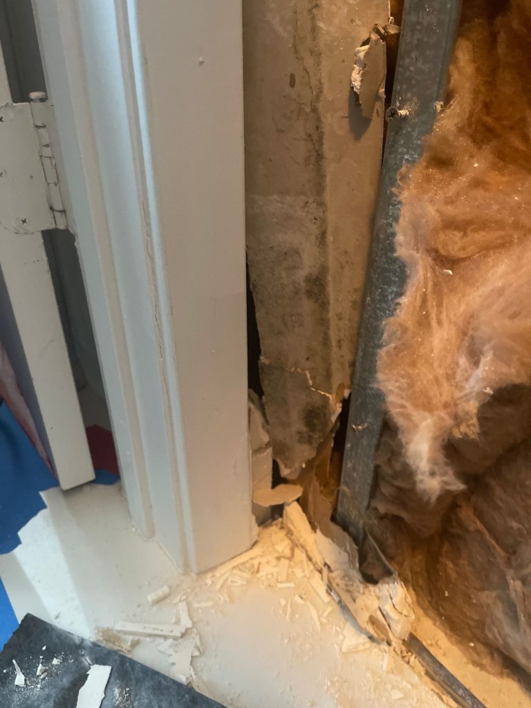 hidden mold behind drywall.